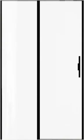 Душевая дверь Allen Brau Priority 120 3.31009.BBA черный браш