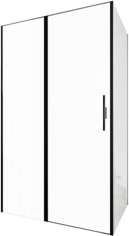 Душевой уголок Allen Brau Priority 120x100 3.31009.BBA + 3.31021.BBA черный браш