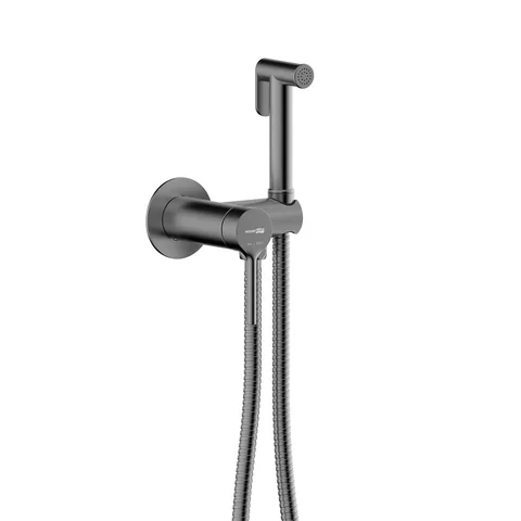 Рейн (Rhein) 9938GR Смеситель с гигиеническим душем
