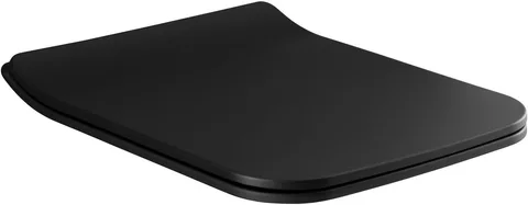 Сиденье для унитаза Allen Brau Liberty 4.33008.31 черный матовый