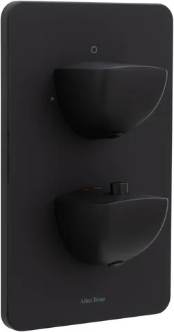 Смеситель для ванны Allen Brau Infinity 5.21216-31 (с внутренней частью, 2 выхода) черный матовый