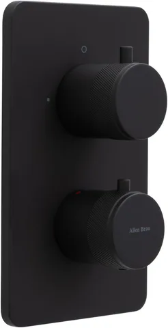 Смеситель для ванны Allen Brau Priority 5.31213-31 (с внутренней частью, 2 выхода) черный матовый