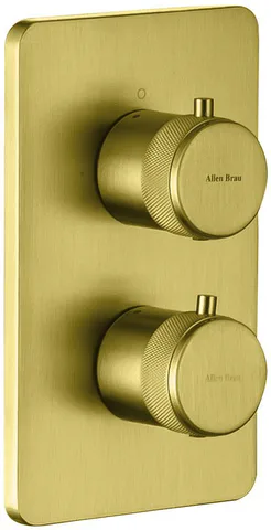 Смеситель для ванны Allen Brau Priority 5.31213-GB (с внутренней частью, 2 выхода) золото