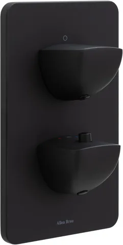 Смеситель для душа Allen Brau Infinity 5.21116-31 (с внутренней частью, 1 выход) черный матовый
