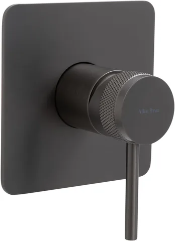Смеситель для душа Allen Brau Priority 5.31012-MG (с внутренней частью, 1 выход) графит браш