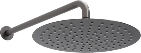 Верхний душ Allen Brau Priority 5.31A17-MG графит браш
