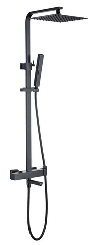 Душевая стойка Allen Brau Infinity 5.21029-31 черный матовый