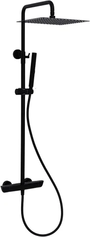 Душевая стойка Allen Brau Infinity 5.21032-31 черный матовый