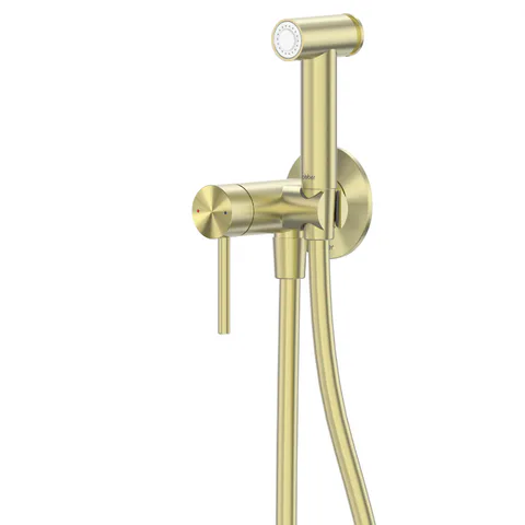 Смеситель ABBER Wasser Kreis 316 AF8125BG с гигиеническим душем, брашированное золото