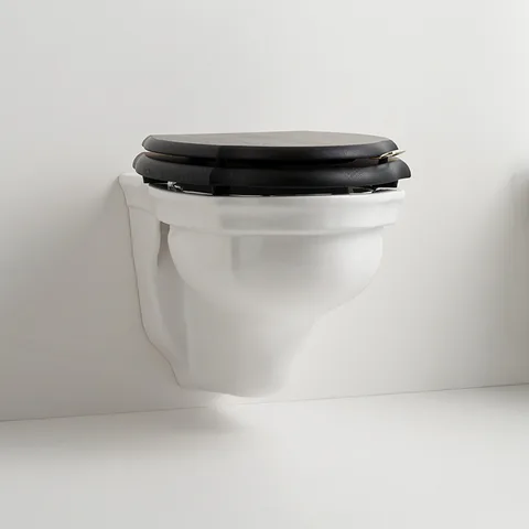 IBWCSWES