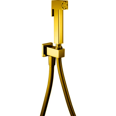 CISAL Shower Гигиенический душ со шлангом 120 см,вывод с держателем, цвет золото