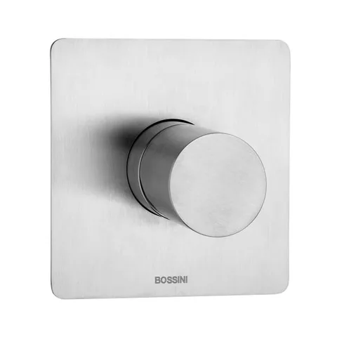 Bossini Inox Смеситель для душа на 1 выход  (внешняя часть - настенная накладка и круглая ручка), цвет: глянцевая сталь