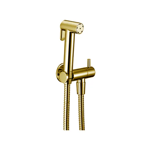 CISAL Shower Гигиенический комплект со шлангом 120 см,вывод с держателем, цвет Oro