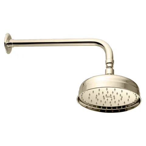 Nicolazzi Doccia Верхний душ Ø 200 мм., в комплекте с настенным держателем, цвет Polished Nickel