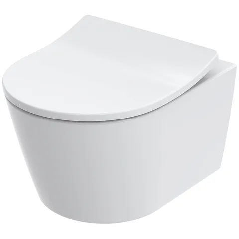 TOTO RP Сиденье быстросъемное для унитаза CW554Y, SoftClose, петли из нерж.стали, цвет: белый