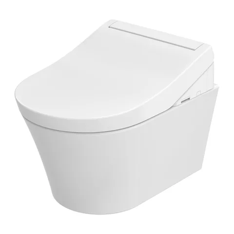 TOTO WASHLET RG Lite Сиденье- вошлет 383х540х130 мм, с дистанционным управлением, для унитаза CW553EY/CW561, цвет: белый