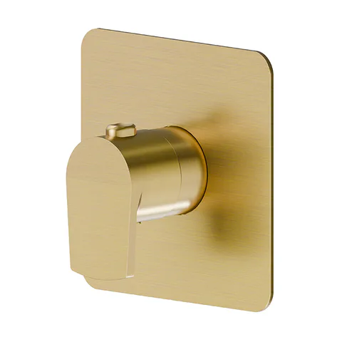 Newform Haka Внешняя часть термостатического смесителя, цвет: PVD brushed gold
