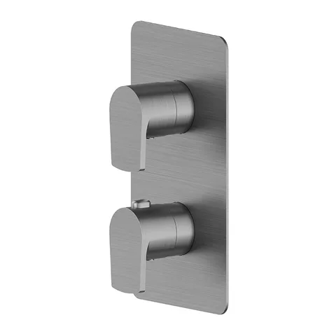Newform Haka Внешняя часть термостатического смесителя,  на 2 источника , цвет: PVD brushed gun metal