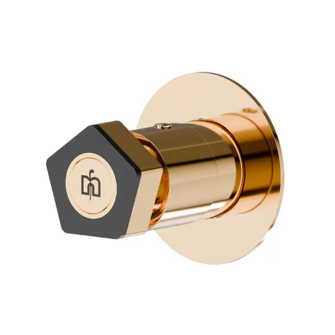 Newform ParkLE Внешняя часть переключателя/запорного вентиля, цвет: PVD glossy gold + черный матовый