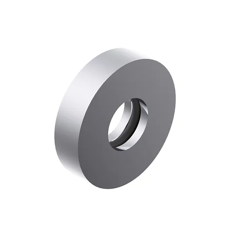 Ritmonio ELEMENTA Fittings Кольцо для прутка D=25мм, цвет: Brushed