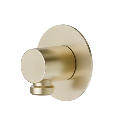 Newform X-Steel 316 Шланговое подсоединение, цвет: PVD Br. Pale Gold