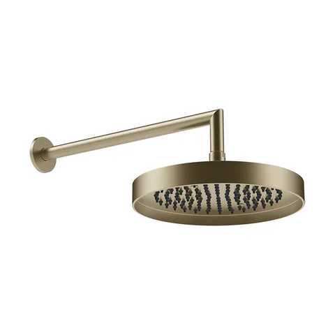 GESSI INCASTRI Верхний душ настенный 250мм, с кронштейном 342 мм,  цвет: Finox Brushed Nickel