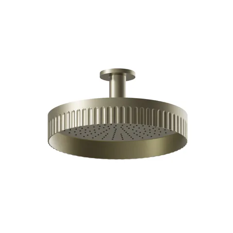 Newform Ionika wellness Верхний душ, потолочный монтаж   Ø 300мм , цвет: PVD brushed pale gold