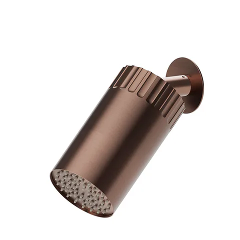 Newform Ionika wellness Настенный душ , режим дождь  Ø 100мм , цвет: PVD brushed copper bronze