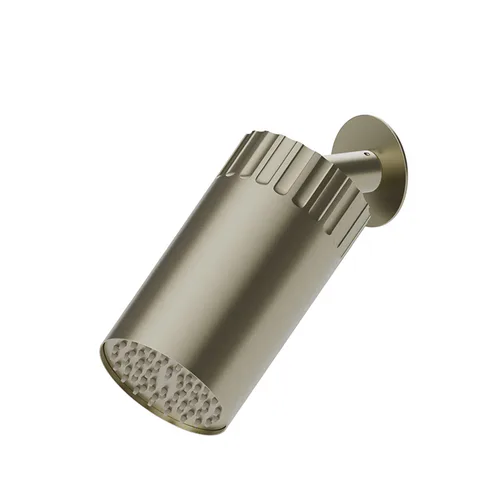 Newform Ionika wellness Настенный душ , режим дождь  Ø 100мм , цвет: PVD brushed pale gold