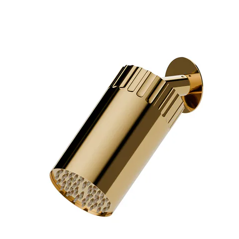 Newform Ionika wellness Настенный душ , режим дождь  Ø 100мм , цвет: PVD glossy gold