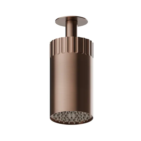 Newform Ionika wellness Потолочный душ , режим дождь  Ø 100мм , цвет: PVD brushed copper bronze