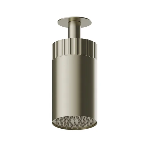 Newform Ionika wellness Потолочный душ , режим дождь  Ø 100мм , цвет: PVD brushed pale gold
