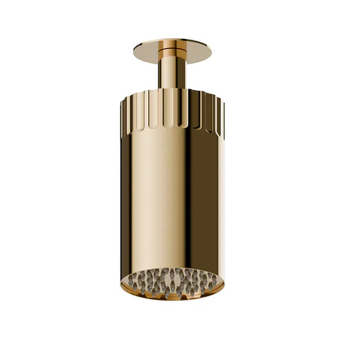 Newform Ionika wellness Потолочный душ , режим дождь  Ø 100мм , цвет: PVD glossy gold