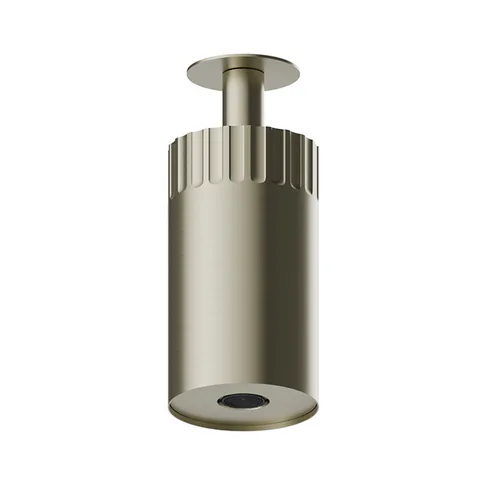 Newform Ionika wellness Потолочный душ 100мм, с ламинарной струей  Ø 100мм , цвет: PVD brushed pale gold