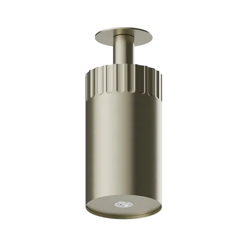 Newform Ionika wellness Потолочный душ 100мм, режим распылитель  Ø 100мм , цвет: PVD brushed pale gold