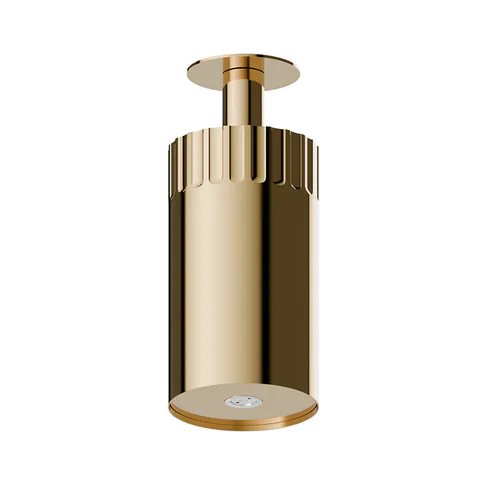 Newform Ionika wellness Потолочный душ 100мм, режим распылитель  Ø 100мм , цвет: PVD glossy gold