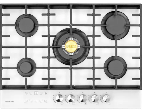 HIBERG VM 7255 W