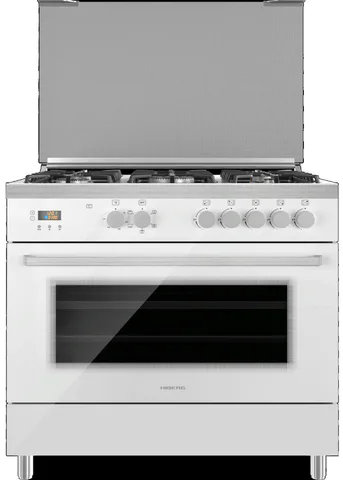 HIBERG FEG 950-25 MW